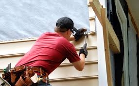 Best Insulated Siding Installation  in Panaca, NV